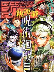 星屑画家封面